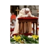 Papa Francisco🕊️ 18