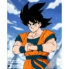 Goku 28