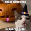 🫦 Halloween Flerte e Cantadas 9