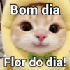 Bom dia Flor do dia!