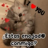 I YOU ¿Estas enojade conmigo?