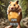 Meme Tiktok Brainrot (2) 12