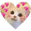 Love Kitten 🐾🐱 6