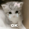 Meme Kucing Galau 10