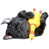 PUGS DOGS 13