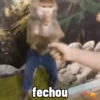 🐒 Macaco pra Reagir 30