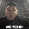 WUT WUT NIH