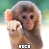🐒 Macaco pra Reagir 15