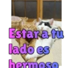 Gatos enamorados 10