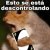 Cambio detema🔥pueden tus ideas 2