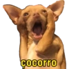 Cachorro meme 9