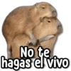 No te hagas el vivo