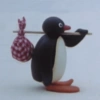 Pingu 🐧 28