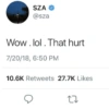 SZA @sza Wow. lol. That hurt 7/20/18, 6:50 PM 10.6K Retweets 27.7K Likes 27