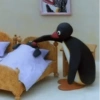 Pingu 🐧 27