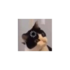 Meme 12