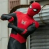MEMES DO HOMEM ARANHA 🕷️ 10