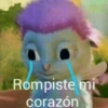 Rompiste mi corazón