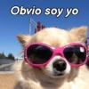 Obvio soy yo
