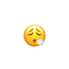 Emoji Iphone 10