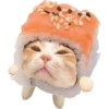 Olhas os gatinhos fofinhos 10