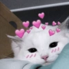 FOFOS❤️ 7