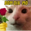 BOM DIA AMOR 💘 4