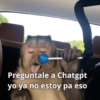Memes 42 17