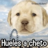 Memes con Frases #3🧠 11