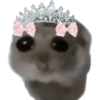 Mariamurax 22