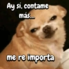 Ay sí, contame más... me re importa