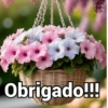 Obrigado / agradecer 14