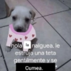 Memes Respuestas 4 12