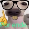Perritos con frases 😎🌚 15