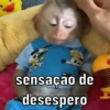 SOU EU NA VIDA 10