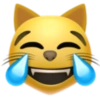 Emoji iphone 25