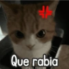 TF Que rabia @Harley Stickers
