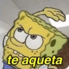 te aqueta