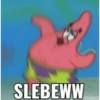 SLEBEWW