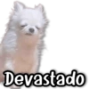 Devastado