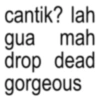 cantik? lah gua mah drop dead gorgeous