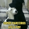 SOMOS PARCEIROS ATÉ O FIM!