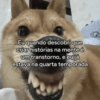 PARA WHATSAPP  11