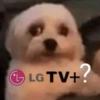 😎 STICKERS SHITPOST 13 🤙 6