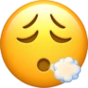 Emoji iPhone  11