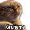 Gruñeme