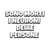 Citazioni Meme 9