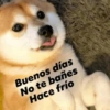 Hace frío❄️🌨️✨ 15