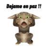 Frases estilo michi 🐱🐈 10