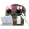 Mariamurax 24